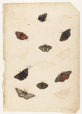 Eight butterflies, anonymous, 1560 - 1585 Canvas Print