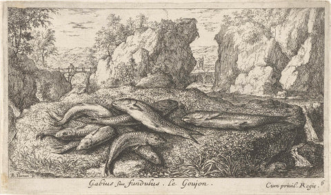 Gobies on a RiverBank, Albert Flamen, 1664 Canvas Print