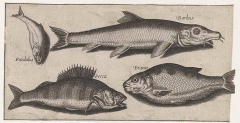 Pere, barbel, brasum and a tooth carp, Pierre Firens, 1600 - 1638 Canvas Print