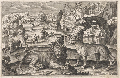 Lions and leopard, Adriaen Collaert, 1595 - 1652 Canvas Print