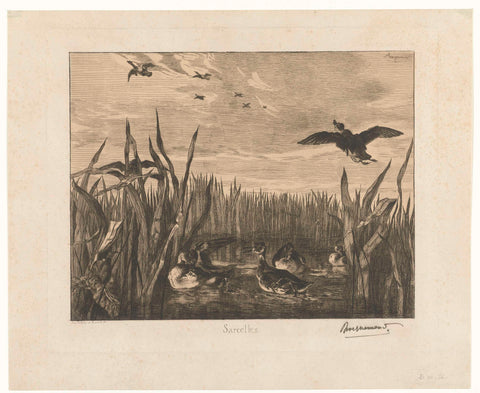 Landscape with teals in the water between reeds, Félix Bracquemond, 1853 Canvas Print