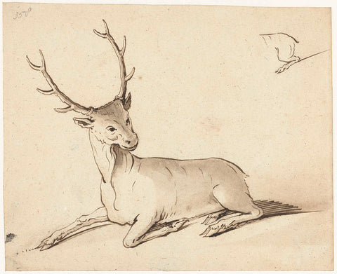 Study sheet with two deer, Gerard ter Borch (I), 1620 - 1629 Canvas Print