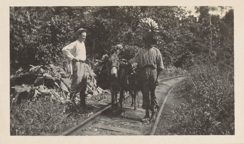 Banana transport in Costa Rica, Andries Augustus Boom, 1912 Canvas Print