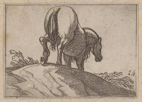 Horse over a hill walking seen from behind, Antonio Tempesta, 1565 - 1630 Canvas Print