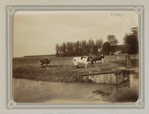 Men milk cows in a meadow in Kralingen, Folkert Idzes de Jong, c. 1905 - c. 1907 Canvas Print