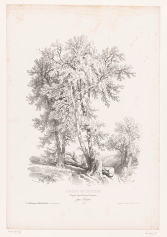 Trees in a landscape, Fortuné Férogio, 1845 - 1846 Canvas Print