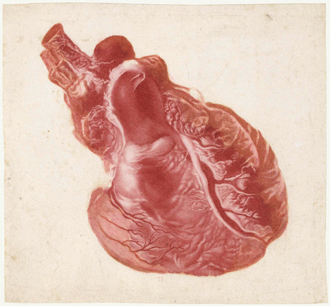 Prints of the Brain and the Heart, Jan l'Admiral (attributed to), 1700 - 1750 Canvas Print