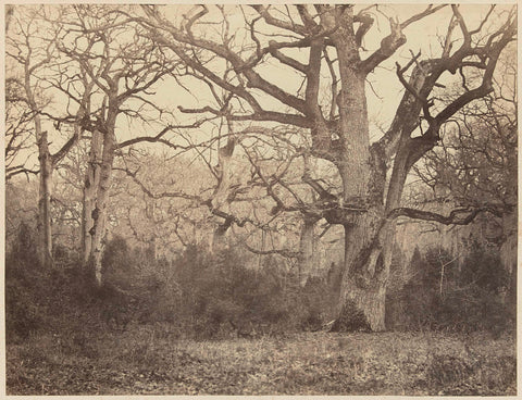 Forest landscape in France, Eugène Cuvelier (attributed to), 1860 - 1870 Canvas Print