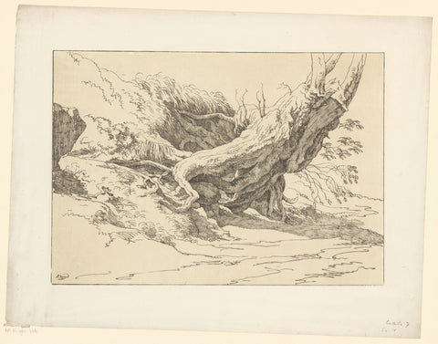 Roots of a tree, Hendrik Voogd, 1820 Canvas Print