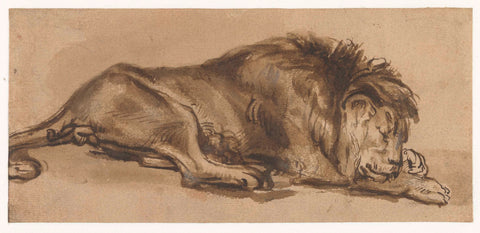 Study of a Lion Asleep, Rembrandt van Rijn (copy after), in or after c. 1650 Canvas Print