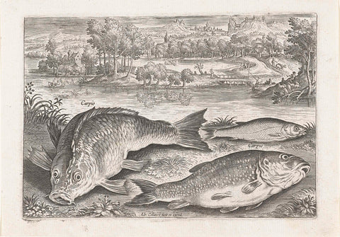 Three carp on a bank, Adriaen Collaert, after 1598 - 1618 Canvas Print