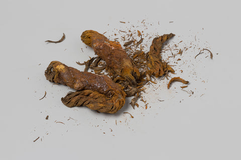 Rope fragments from the wreck of the East Indies sailor 't Vliegend Hart, which was lost in 1735, but possibly subrecent, c. 1700 - c. 1735 Canvas Print