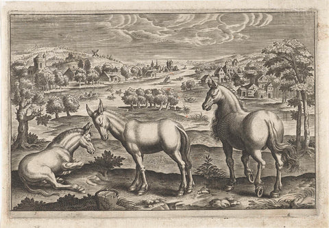 Horse and donkeys, Adriaen Collaert, 1595 - 1652 Canvas Print