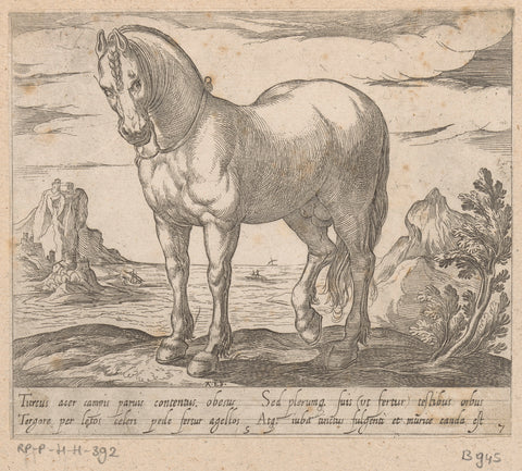 Standing horse accustomed to the left, in front of a seascape, Antonio Tempesta, 1590 Canvas Print