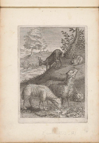 Sheep, goat and rabbits in a landscape, anonymous, 1635 - 1660 Canvas Print