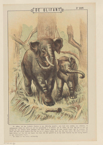 De olifant, Gordinne, 1894 - 1959 Canvas Print