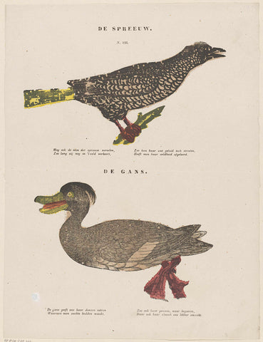 The starling / The goose, Glenisson & Van Genechten, 1833 - 1900 Canvas Print