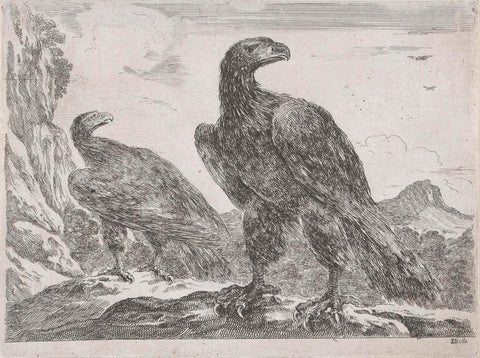 Two Eagles with Heads to the Right, Stefano della Bella, 1620 - 1664 Canvas Print