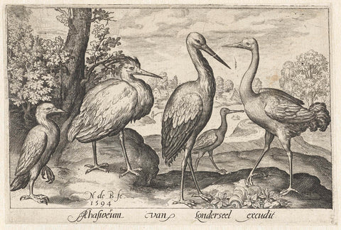 Stork, crane, heron and spoonbill, Nicolaes de Bruyn, 1594 Canvas Print