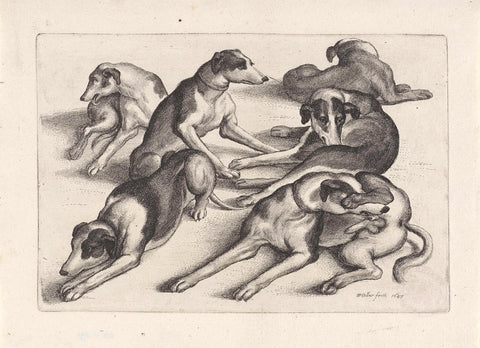 Six lying hunting dogs, Wenceslaus Hollar, 1647 Canvas Print