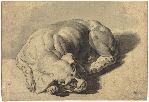 Sleeping dog, Gerard ter Borch (I), after c. 1626 - before 1662 Canvas Print