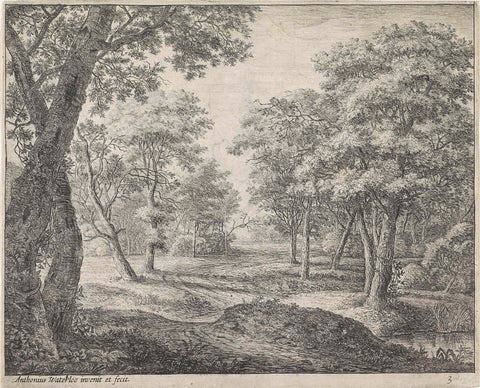 Forest Path, Anthonie Waterloo, 1630 - 1663 Canvas Print