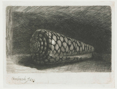 The Shell, Rembrandt van Rijn, 1650 Canvas Print