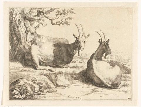 Goats, Frederick Bloemaert, c. 1679 - c. 1700 Canvas Print