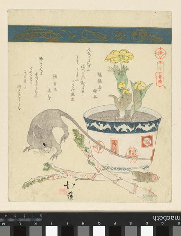 Rat and comes with adonis, Totoya Hokkei, 1820 - 1830 Canvas Print