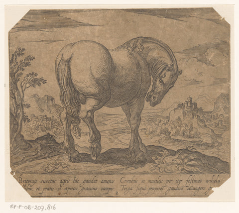 Standing horse with head down, turned to the right, Antonio Tempesta, 1590 Canvas Print