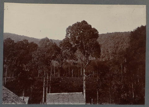 Houses and trees, anonymous, 1903 - 1913 Canvas Print