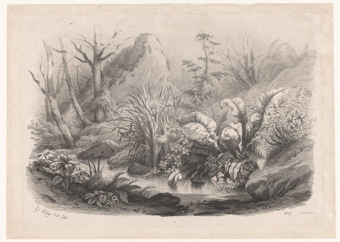 Riparian plants by a stream, Eugène Bléry, 1849 Canvas Print