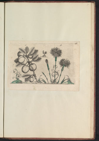 Kerspruim (Prunus cerasifera) en tuinanjer (Dianthus caryophyllus), anonymous, 1640 Canvas Print