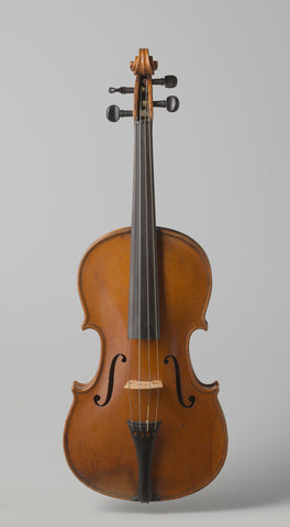 Viola, Johannes Theodorus Cuypers, 1806 Canvas Print