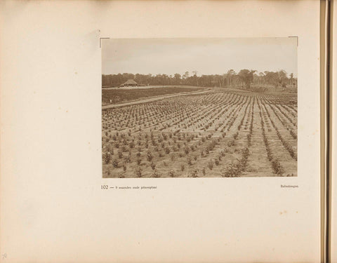 Page 102 of photo book of the General Association of Rubber Planters on the East Coast of Sumatra (AVROS), JW Meyster, c. 1924 - c. 1925 Canvas Print