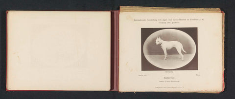 Bulterriër Moya die een ereprijs heeft won op de International Exhibition of Hunting and Luxury Dogs in 1891, anonymous, 1891 Canvas Print