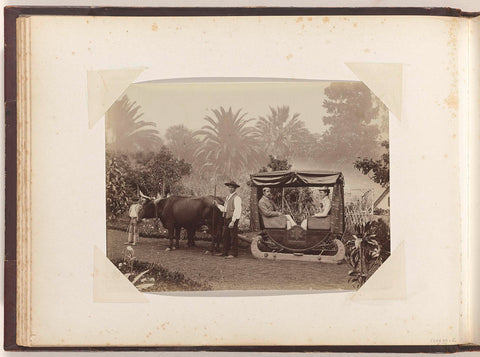 European couple in a bull-drawn carriage with skids (sled) in Madeira, anonymous, c. 1885 - c. 1910 Canvas Print