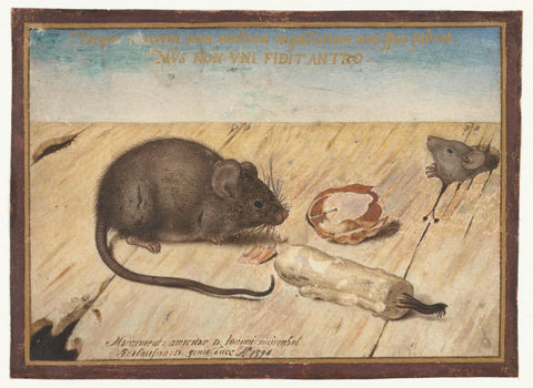 Two Mice, Joris Hoefnagel, 1594 Canvas Print