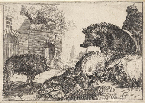 Pigs, anonymous, 1636 - 1705 Canvas Print