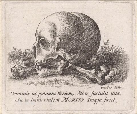 Skull and bones, Wenceslaus Hollar, 1652 Canvas Print