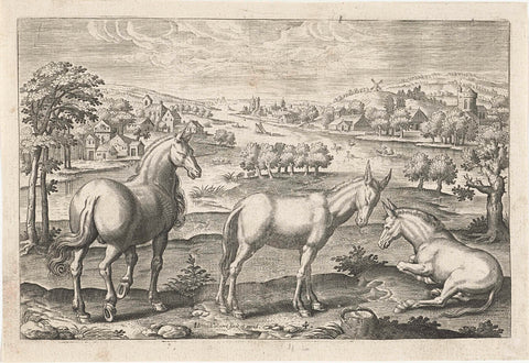 Horse and donkeys, Adriaen Collaert, 1595 - 1599 Canvas Print