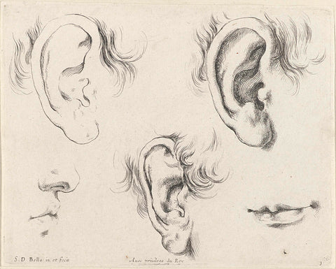 Three ears, a mouth and a profile of nose and mouth, Stefano della Bella, 1620 - 1664 Canvas Print