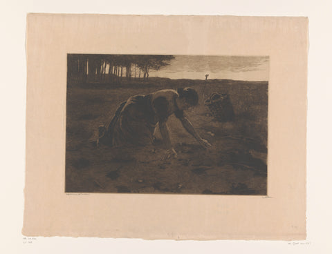 Woman on her knees harvesting potatoes, Willem Witsen, c. 1908 - c. 1909 Canvas Print