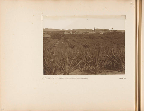 Page 132 of photo book of the General Association of Rubber Planters on the East Coast of Sumatra (A.V.R.O.S.), J.W. Meyster, c. 1924 - c. 1925 Canvas Print