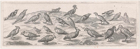 Landscape with different species of birds., Simon Frisius, 1609 - 1610 Canvas Print