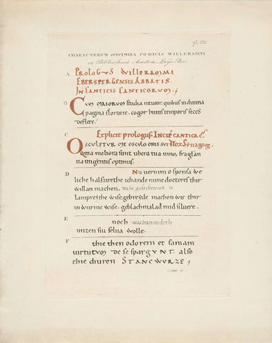 Examples of writing in the Manuscript of the Four Gospels from the 10th century, from Egmond Abbey, Christian Anthony Lotter, 1810 - 1812 Canvas Print