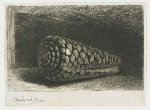 The shell, Rembrandt van Rijn, 1650 Canvas Print