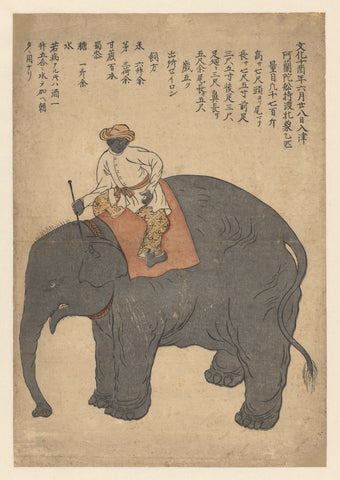 Elephant brought by a Dutch ship in 1813, anonymous, in or after 1813 Canvas Print