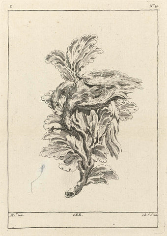 Ornament met dode duif op een tak, Pierre Quentin Chedel, Juste Aurèle Meissonnier, 1738 - 1749 Canvas Print