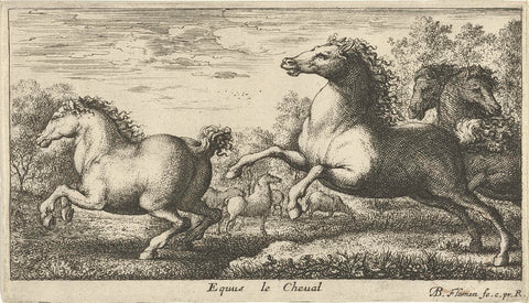 Horses, Albert Flamen, 1648 - 1691 Canvas Print